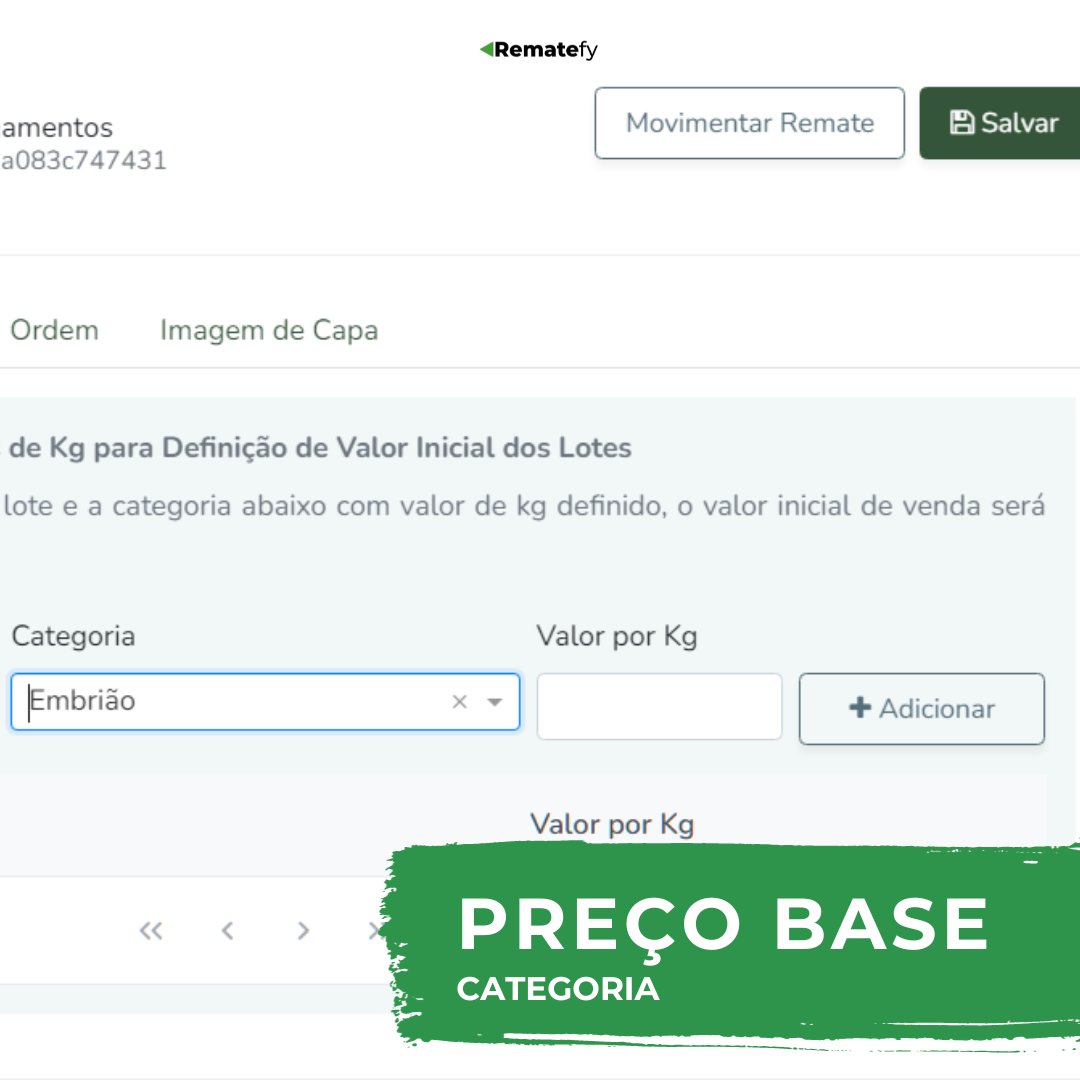 Preço base categoria: Como configurar no seu Remate