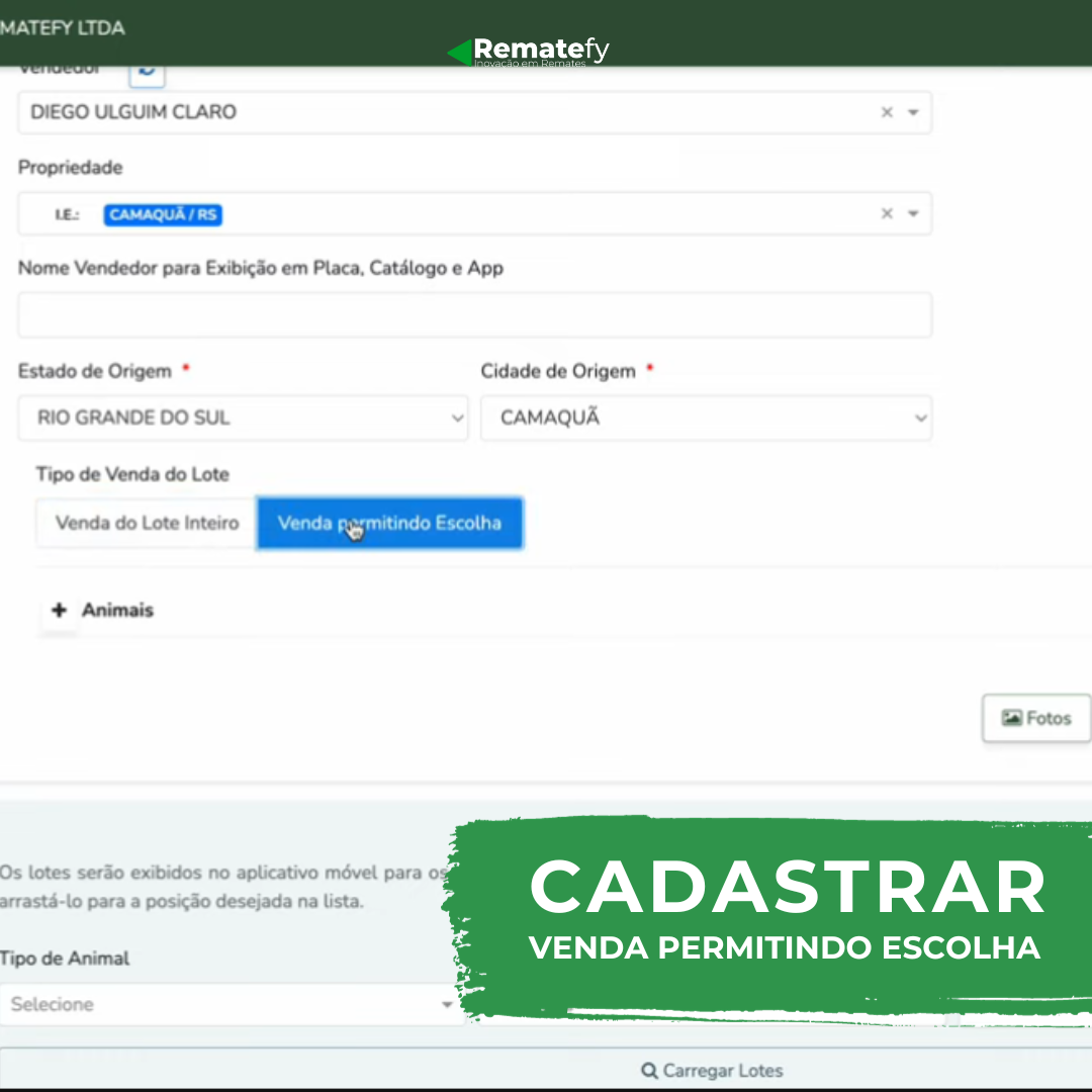 Como Cadastrar Lote com Escolha