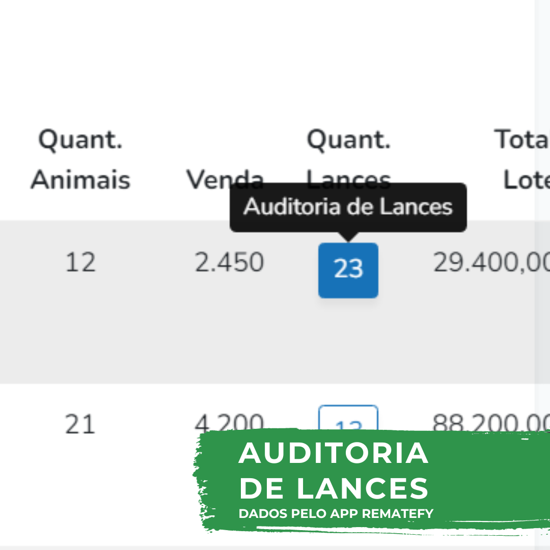 Auditoria de lances no app