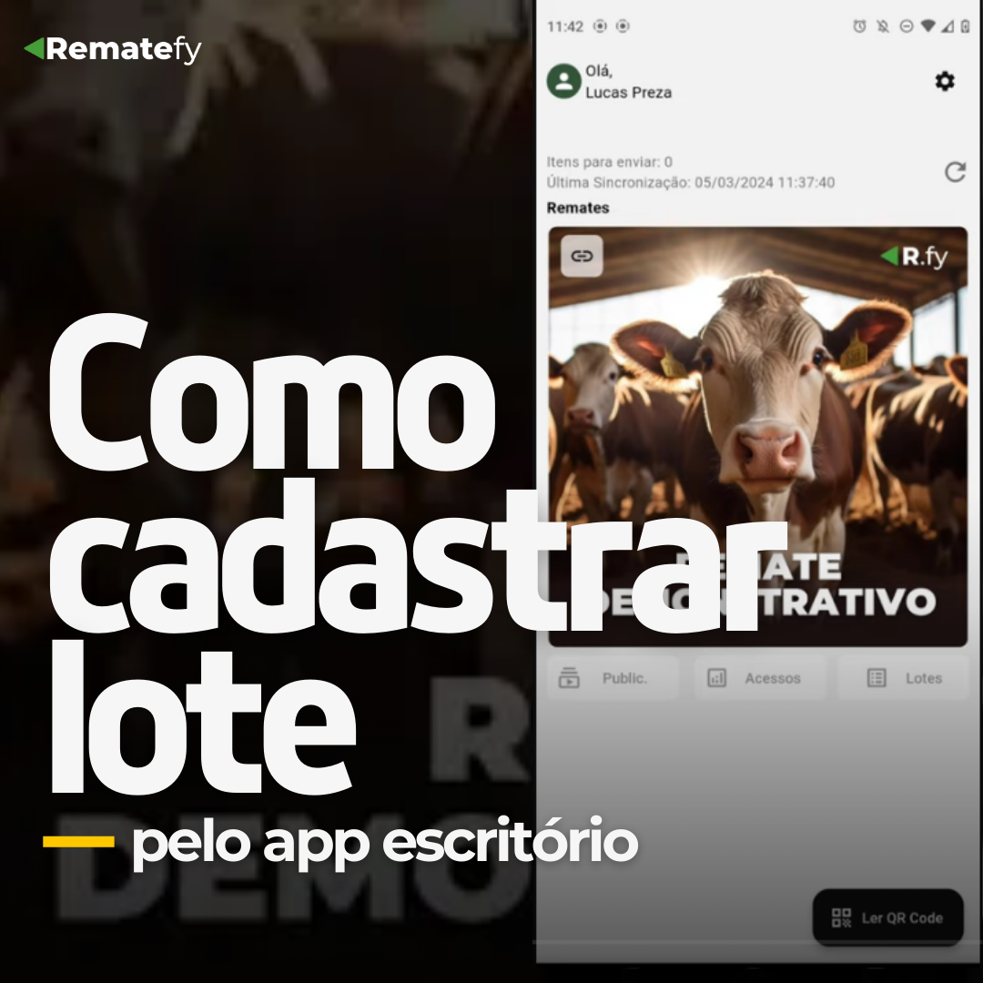 App Escritório: Como cadastrar lote