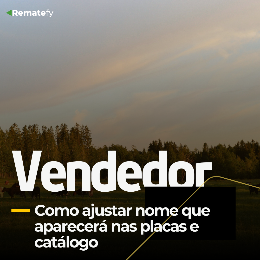 Vendedor: Como ajustar nome que aparecerá nas placas e catálogo