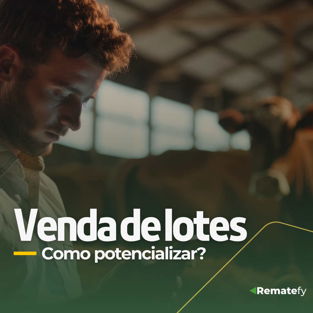 Como potencializar a venda de gado