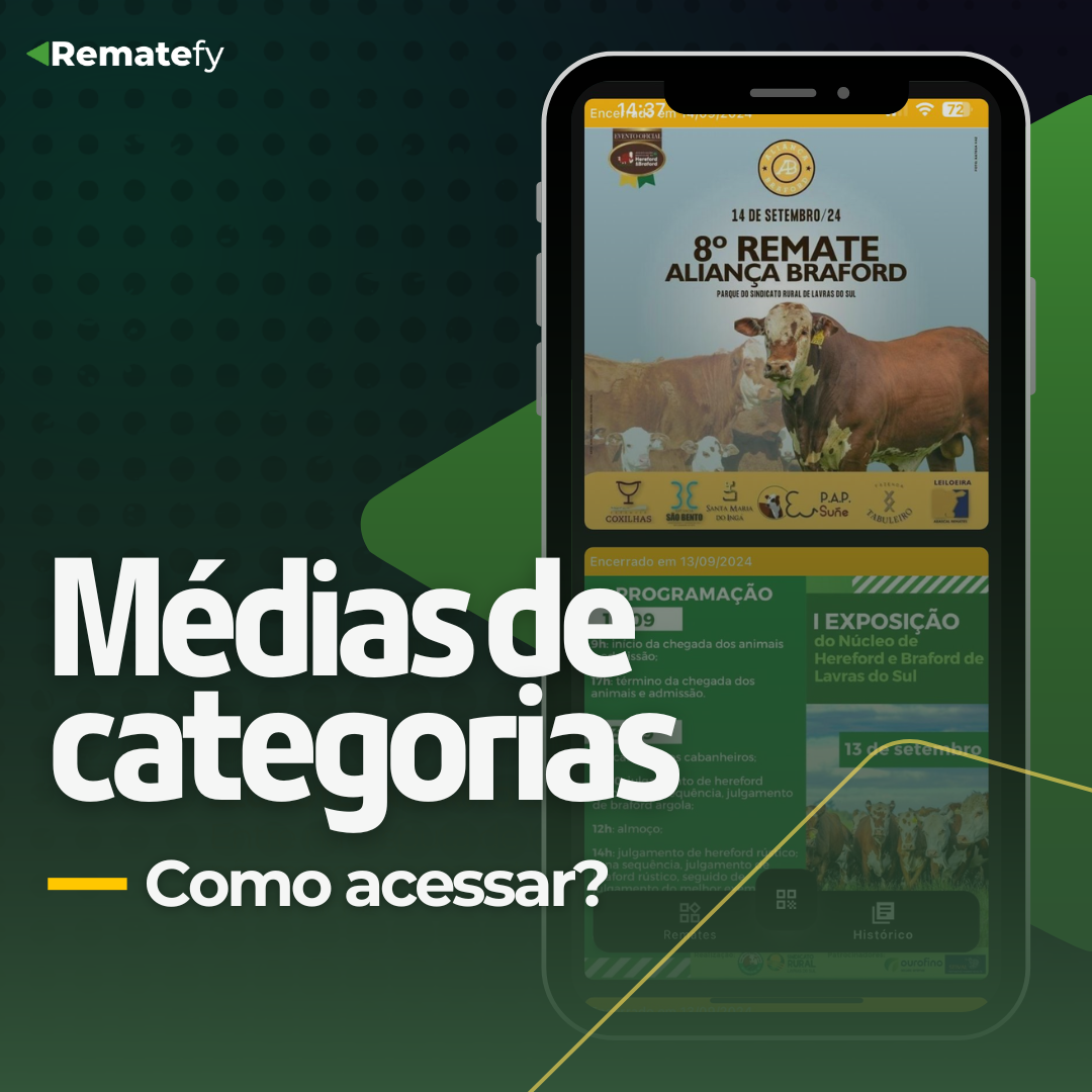 Médias Categorias Leilão: Como acessar