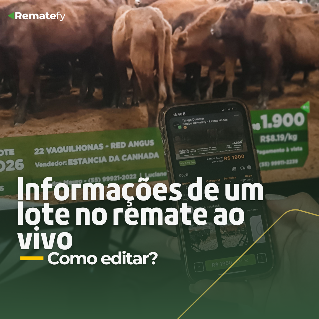 Como editar informações de um lote no Remate ao vivo