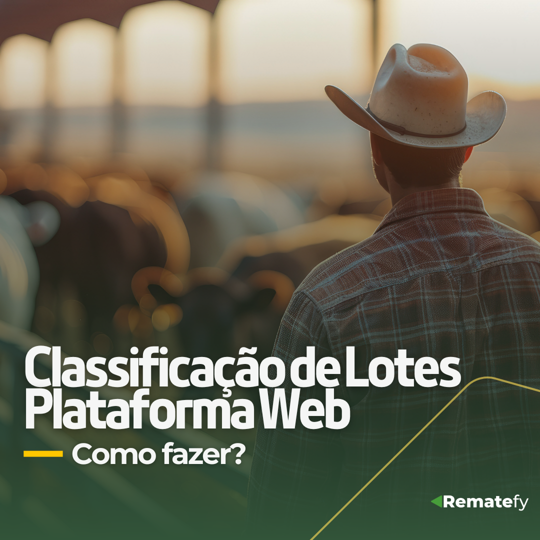 Classificação de Lotes Plataforma Web