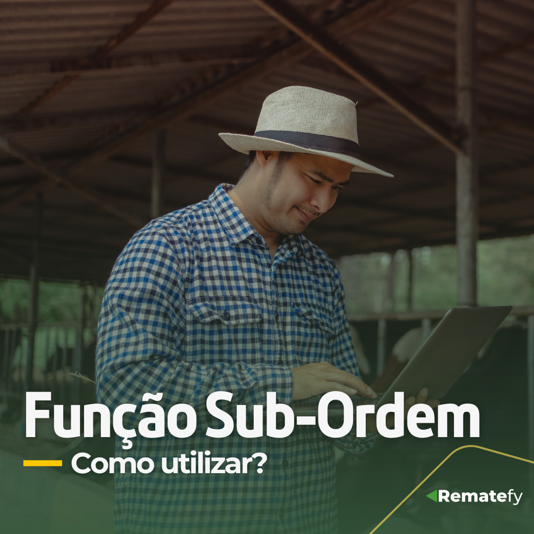 Ordene seus lotes com a função Sub-ordem