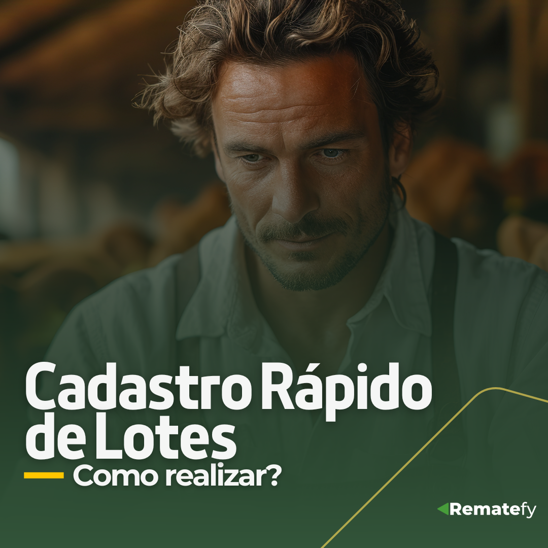 Tela de Cadastro Rápido de Lotes