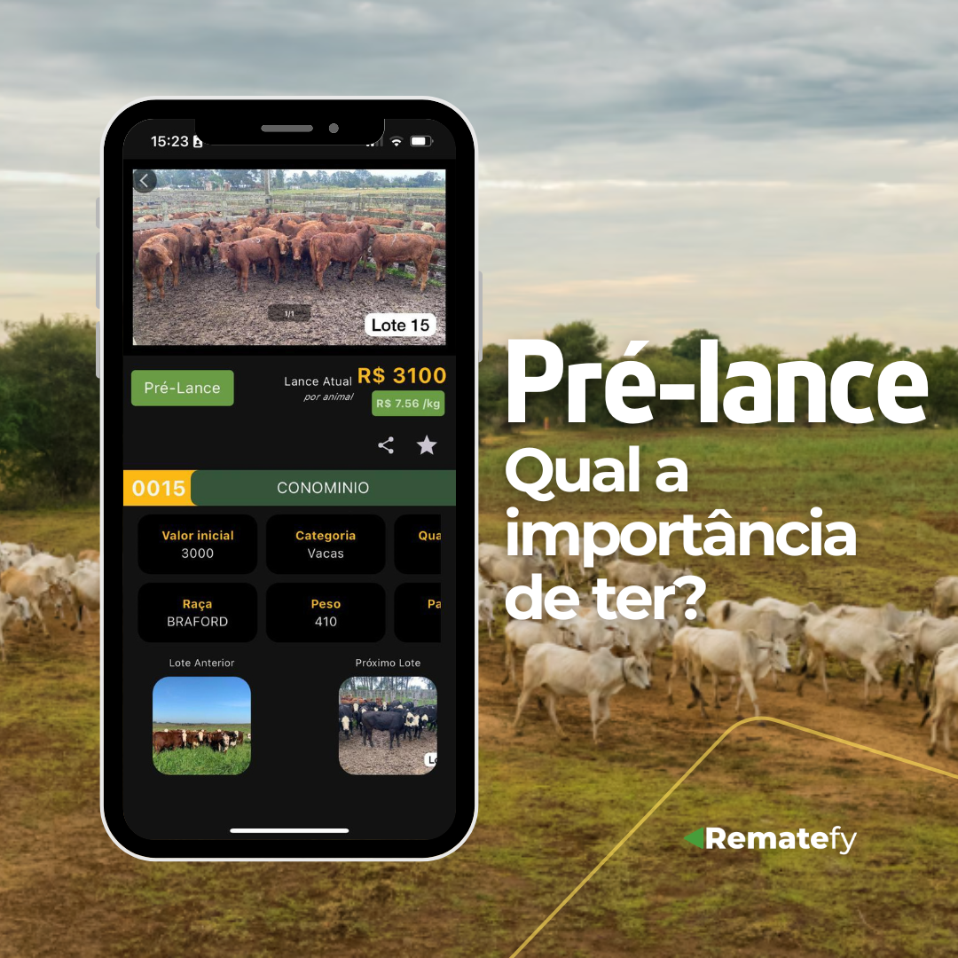 Qual a importância de ter um pré-lance antes do leilão começar?